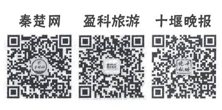 1501125203309278.jpg 640.jpg