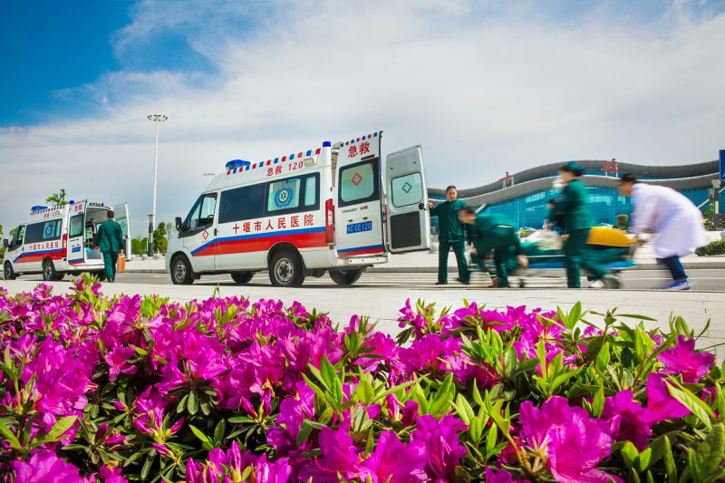 生命通道 李军01.jpg